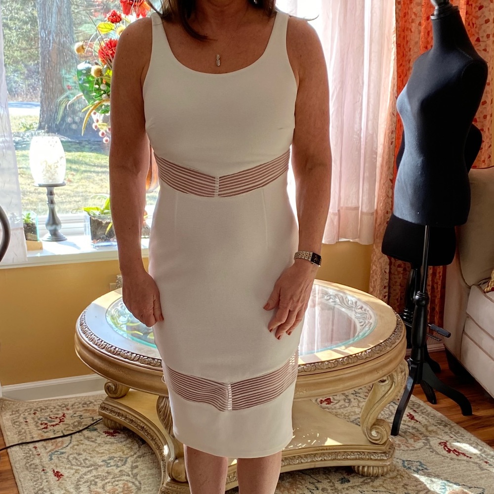 NWT L’ATISTE Classy Sleeveless Sheath Dress